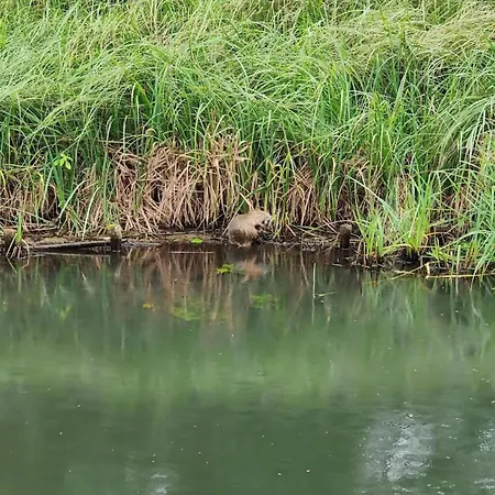 In With A Terrace Feriehus