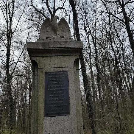 In With A Terrace * Lübben