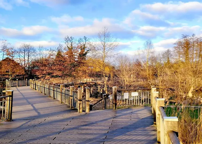 In With A Terrace 別荘 *