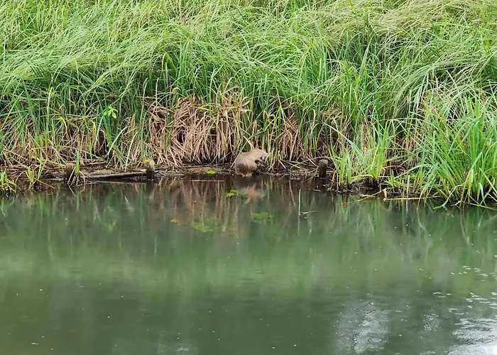 In With A Terrace 別荘